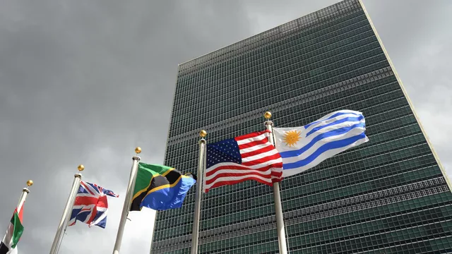 A woman tried to enter the UN headquarters post thumbnail image